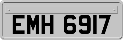EMH6917