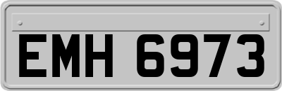 EMH6973