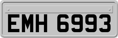 EMH6993