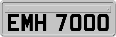 EMH7000