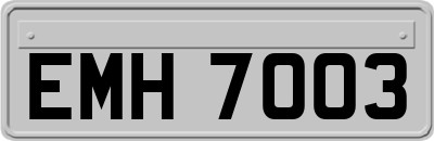 EMH7003