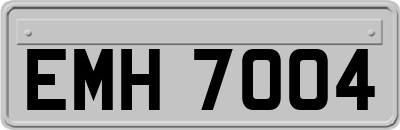 EMH7004