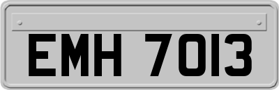 EMH7013
