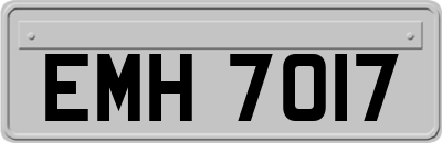 EMH7017