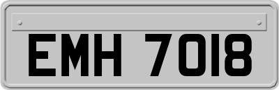 EMH7018