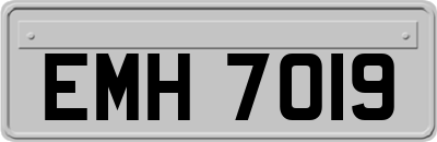 EMH7019