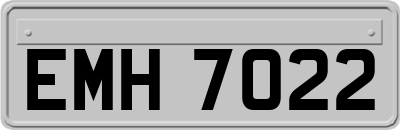 EMH7022