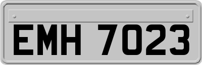 EMH7023