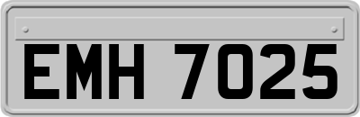 EMH7025
