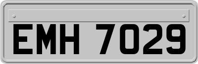 EMH7029