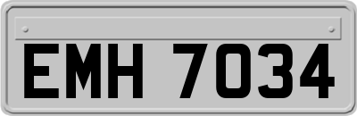 EMH7034