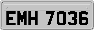 EMH7036