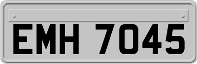 EMH7045