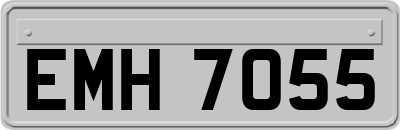 EMH7055