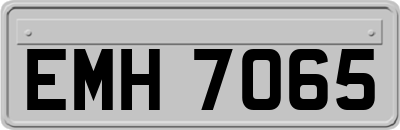 EMH7065
