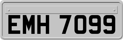 EMH7099