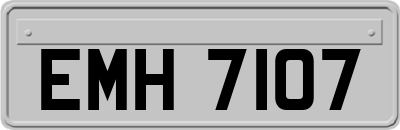EMH7107