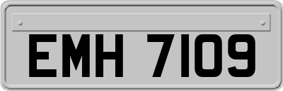 EMH7109