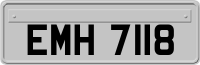 EMH7118