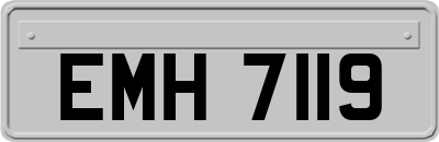 EMH7119
