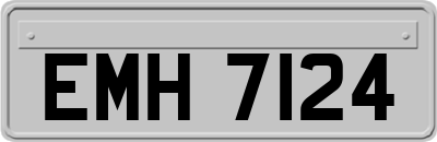 EMH7124