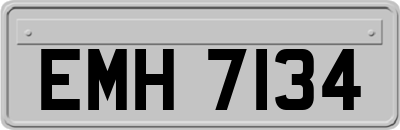 EMH7134