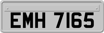 EMH7165