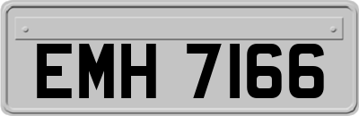 EMH7166