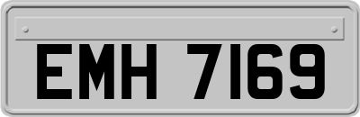 EMH7169