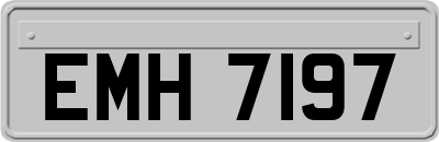 EMH7197
