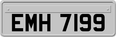 EMH7199