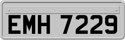 EMH7229