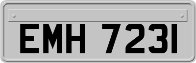 EMH7231
