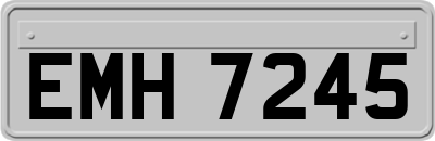 EMH7245