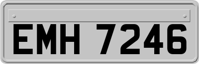 EMH7246