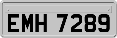 EMH7289