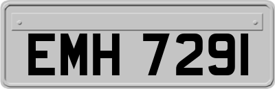 EMH7291