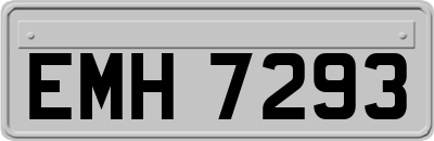 EMH7293