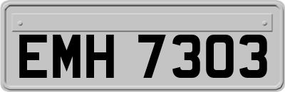 EMH7303