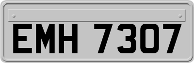 EMH7307