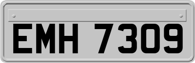 EMH7309