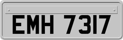 EMH7317