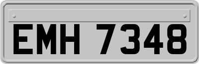 EMH7348