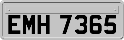 EMH7365