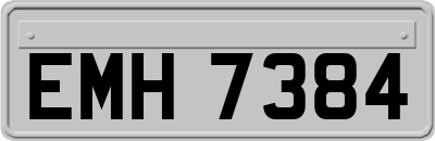 EMH7384