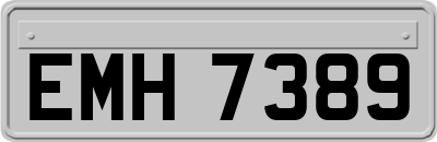 EMH7389