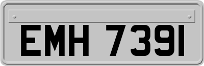 EMH7391