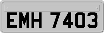 EMH7403