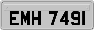 EMH7491
