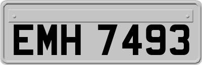 EMH7493